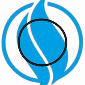 O-ring tubazione pompa acqua serie 3. Jenbacher 376483