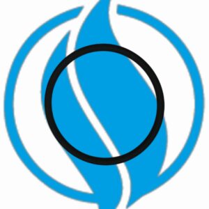 O-ring tubazione scambiatore olio serie 3. Jenbacher 221468