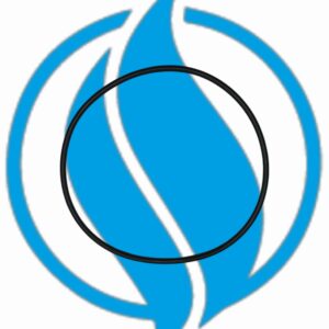 O-ring aspirazione. Jenbacher 225040.