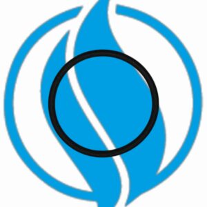 O-ring canotto testa serie 3. Jenbacher 376475