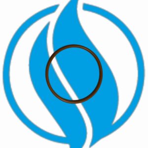 O-Ring testa cilindro serie 4. Jenbacher 456732