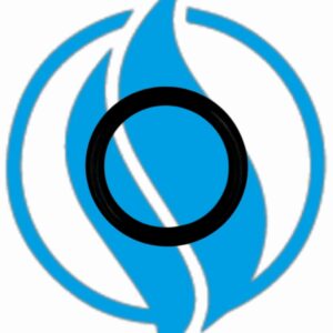 O-ring. Jenbacher 100013