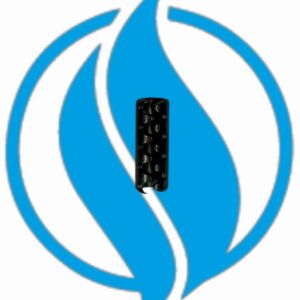 Spina elastica. Jenbacher 467262