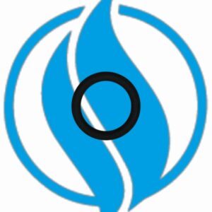 O-ring. Jenbacher 100012