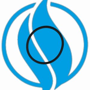 O-ring turbina serie 4 - Jenbacher  236907