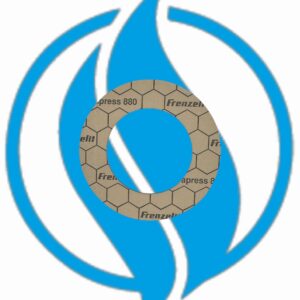 Guarnizione acqua DN65*2-  Jenbacher 103143