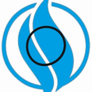 O-ring - Jenbacher 323220.