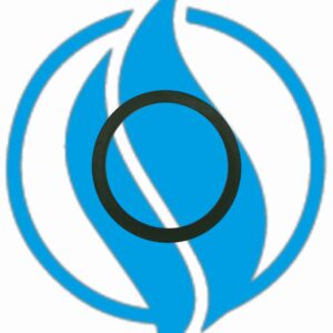 Anello di tenuta serie 2 - 45*4,5 - Jenbacher 104748