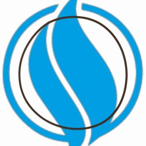 O-ring. Jenbacher 456712