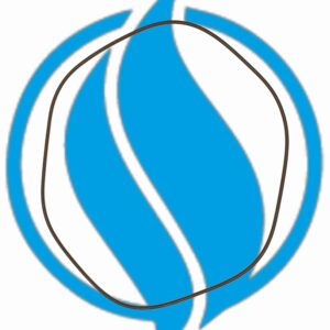 O-ring miscelatore serie 3 - Gas mixer o- ring. Jenbacher 357374