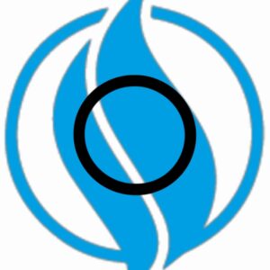 O-ring 24*3. Jenbacher 100014