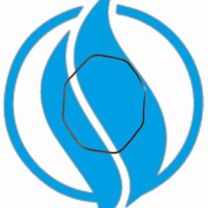 Guarnizione intercooler per nuovi motori. Jenbacher original 1203122