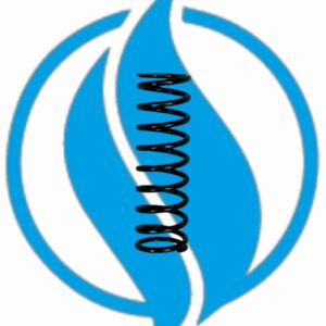 Molla per miscelatore 6*23. Jenbacher original 112638