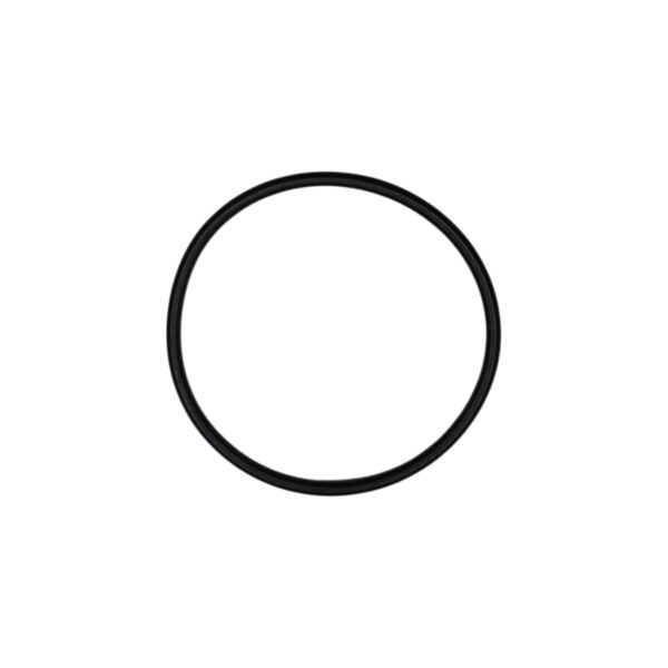 O-ring tubazione pompa acqua serie 3 | Jenbacher 376483