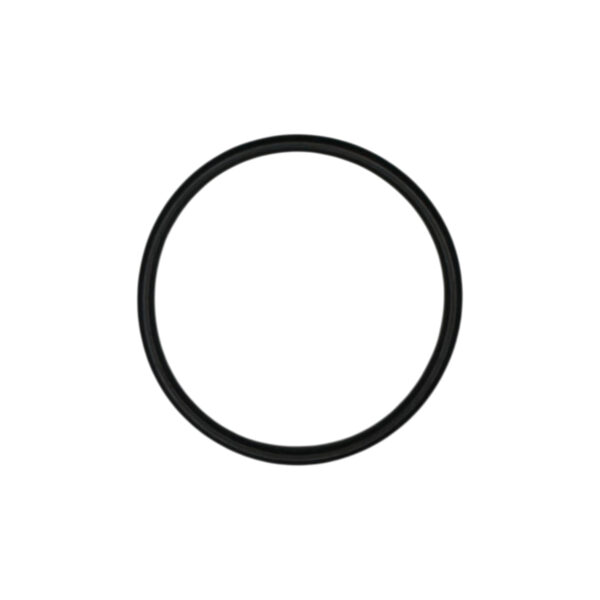 O-ring tubazione scambiatore olio serie 3 | Jenbacher 100019