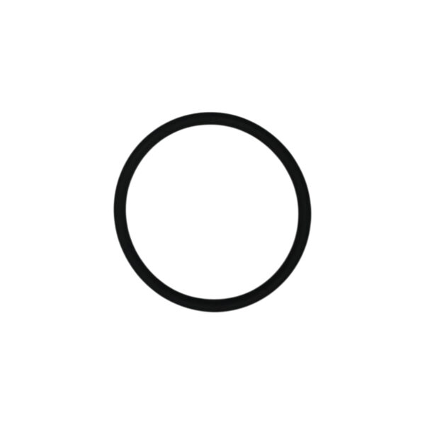 O-ring tubazione scambiatore olio serie 3 | Jenbacher 221468