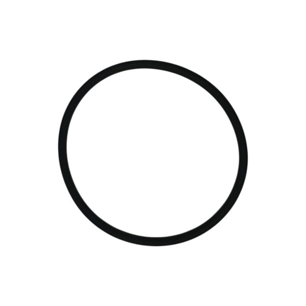 O-ring turbina serie 312 | Jenbacher 102131