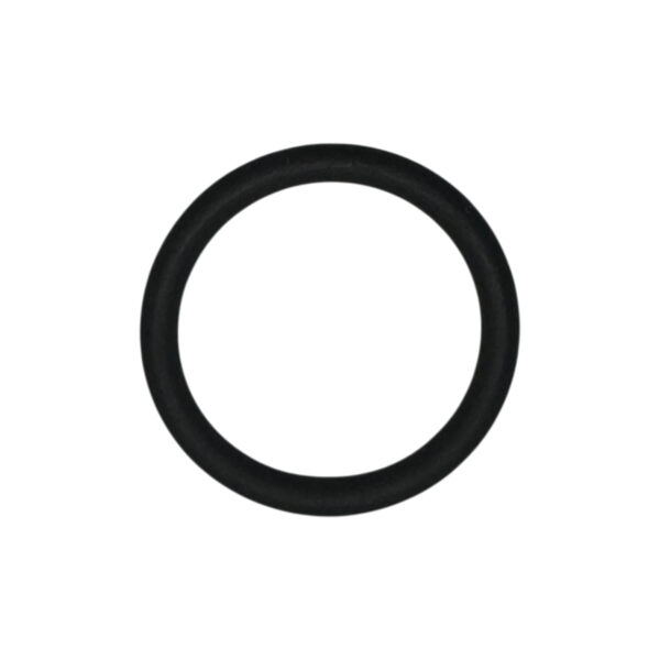 O-ring testa cilindro serie 4 | Jenbacher 300805