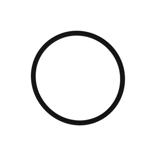 O-ring serie 4 | Jenbacher 456800