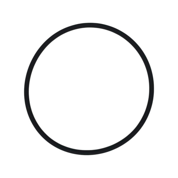 O-ring pompa acqua serie 3 | Jenbacher 457377