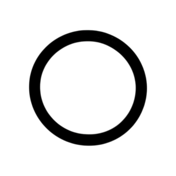 O-ring 24*3 | Jenbacher 100014