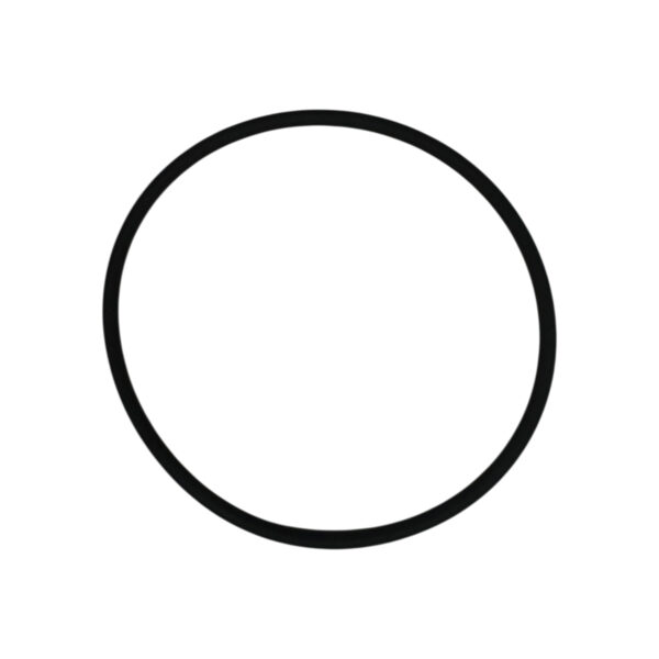 O-ring 74*3 | Jenbacher 100021