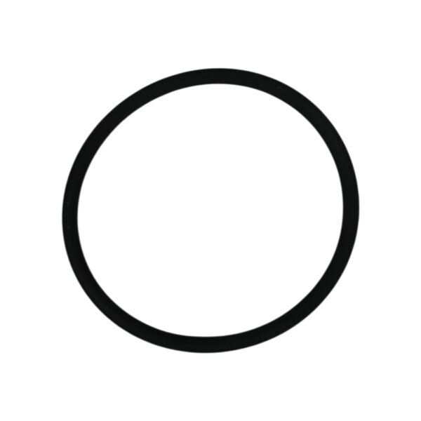 O-ring 56.7*3,5 serie 4 | Jenbacher 165120
