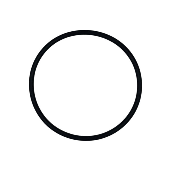O-ring turbina serie 312 | Jenbacher 105861
